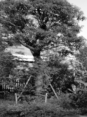 东至注册公司